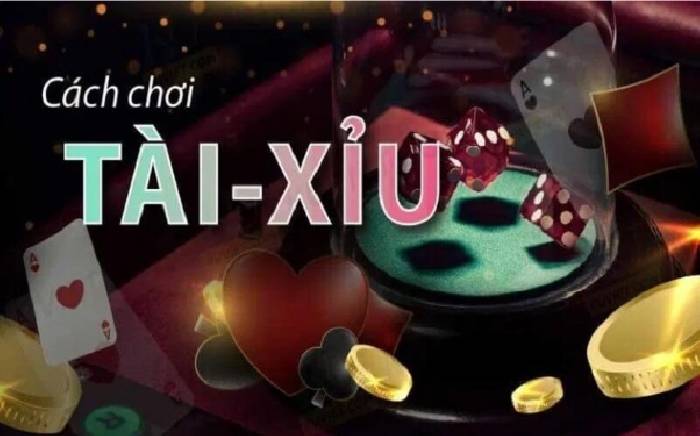 Cách chơi tài xỉu ăn tiền, 5 quy tắc vàng nhà cái không muốn bạn biết